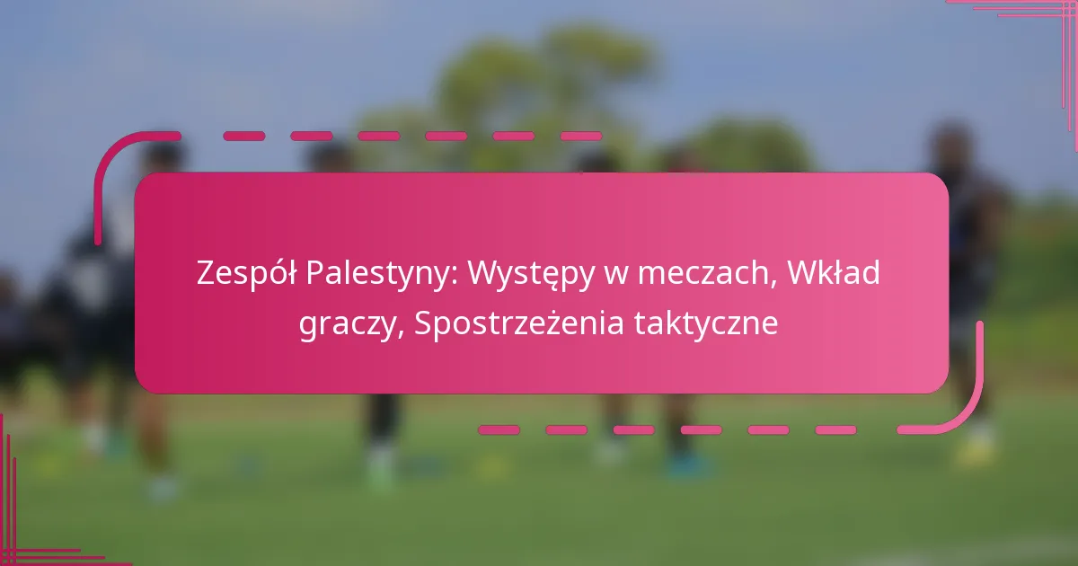 Zespół Palestyny: Występy w meczach, Wkład graczy, Spostrzeżenia taktyczne