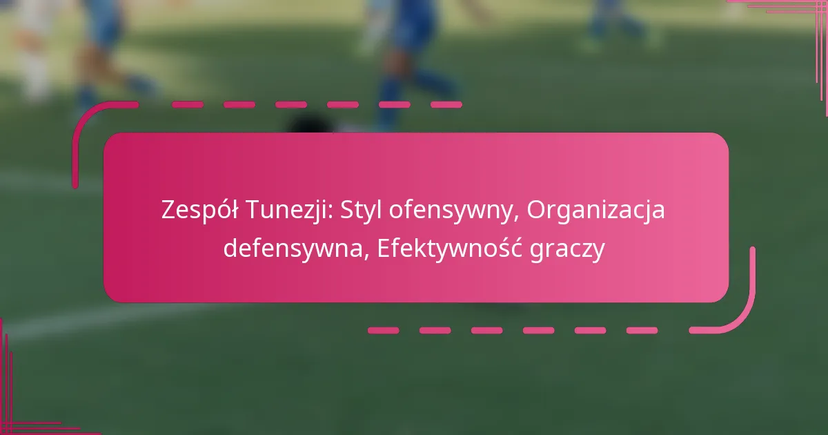 Zespół Tunezji: Styl ofensywny, Organizacja defensywna, Efektywność graczy